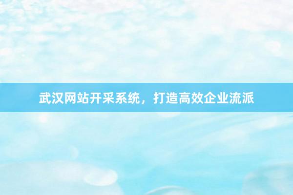 武汉网站开采系统，打造高效企业流派