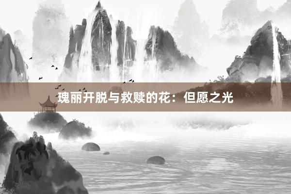 瑰丽开脱与救赎的花：但愿之光
